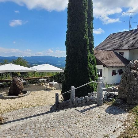 Landhaus Lehnerhof Schaufling Экстерьер фото